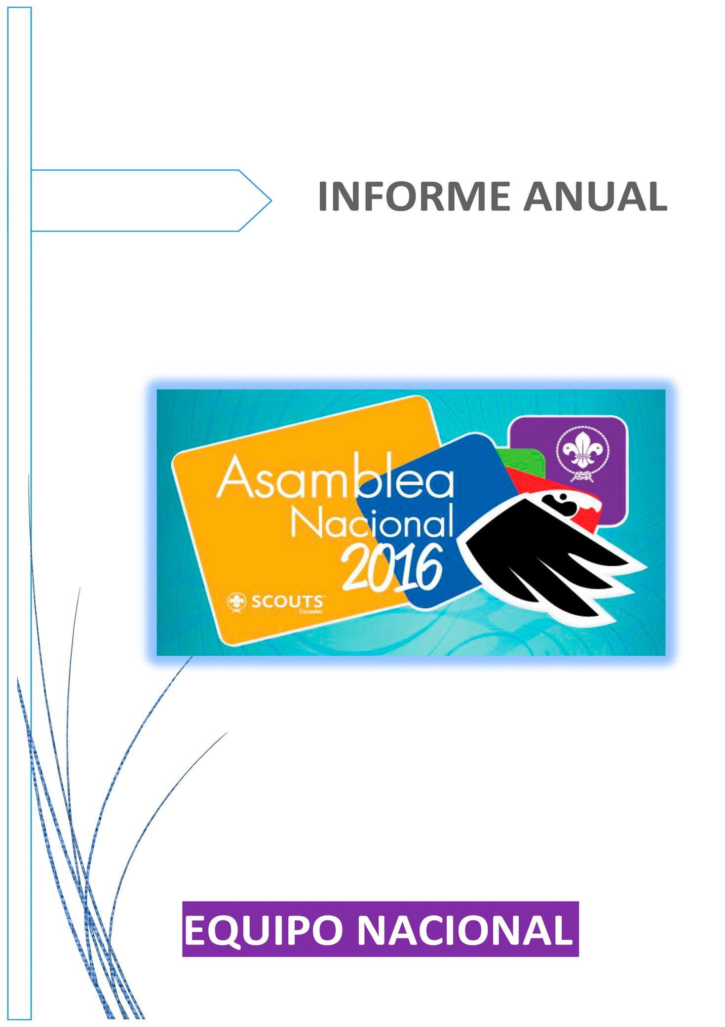 Informe Equipo Nacional Asamblea Nacional 2016